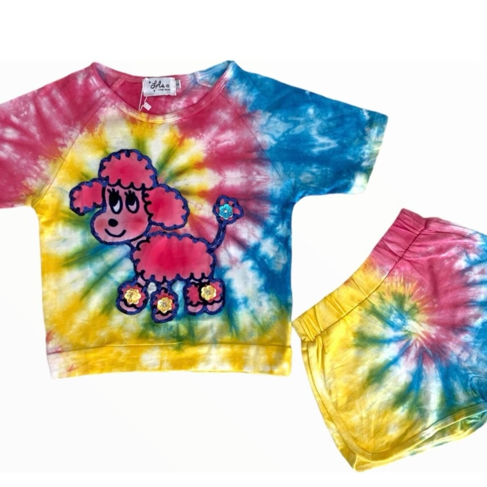 Cute Colorful Tie-Dye Poodle T-Shirt and Shorts Set